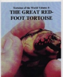 The Great Red-Foot Tortoise