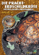 Die Pracht-Erdschildkröte Rhinoclemmys pulcherrima