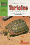 Tortoises. Natural History, Care and Breeding in Captivity