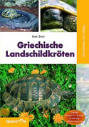 Griechische Landschildkröten. Pflege und Vermehrung