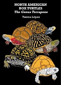North American Box Turtles. The genus Terrapene